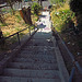 Crosby Place Stairs (0434)