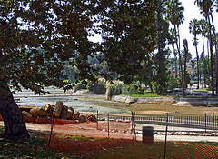 Echo Lake Being Drained (0407)