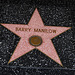 Great L.A. Walk (1263) Barry Manilow