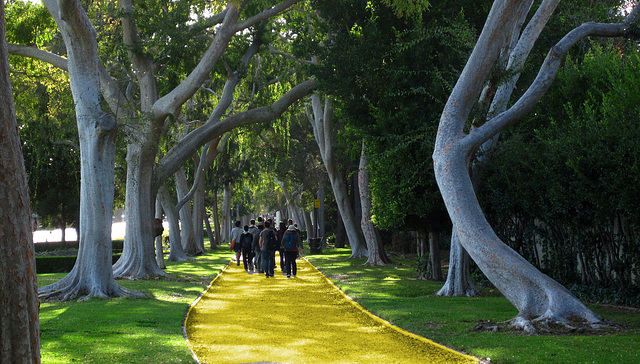Great L.A. Walk (1493) Yellow Brick Road