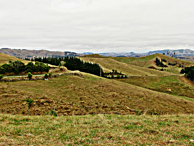Ngaroma Hills