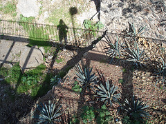 Shadowman on shady footbridge / L'homme-brage sur passerelle ombragée - 23 mars 2011