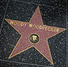 Great L.A. Walk (1382) Woody Woodpecker