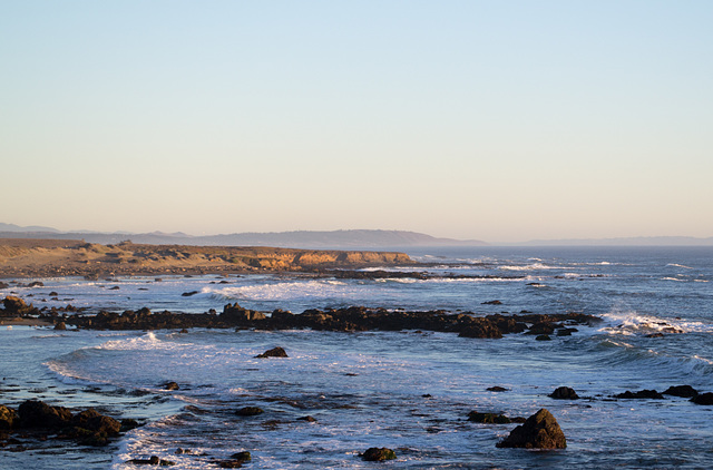 CA-1 Piedras Blancas Elephant Seals (1142) CA-1 Piedras Blancas Elephant Seals (1142)