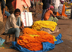 Garland sellers