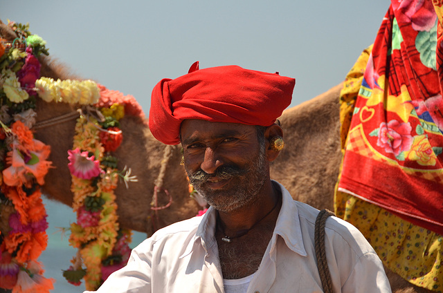Camel man. Gujarat, India