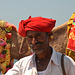 Camel man. Gujarat, India
