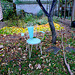 Ein Stuhl im Herbst