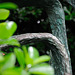 Barbara Hepworth Sculpture Garden - St. Ives 110906