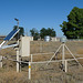 Carrizo Plain National Monument - Seismic Station (0867)