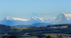 Panorama sur les Alpes bernoises