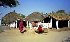 Bishnoi village. India