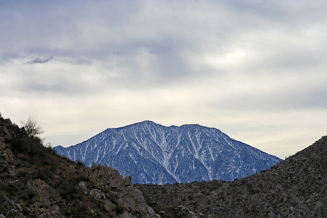 Mt. San Jacinto from Big Morongo Canyon Preserve (2426)