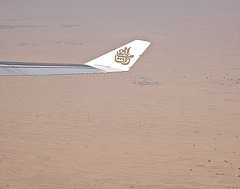 Desert flight