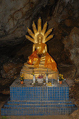 Buddha and a seven headed Nāga snake
