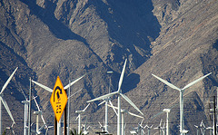 Windmills & Mt San Jacinto (3303)