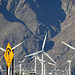 Windmills & Mt San Jacinto (3303)