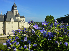 Abbaye de Fontevraud... suite et fin.