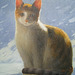 a Cat(Kato=고양이=猫)_oil on canvas_31.8x40.9cm(6f)_2011_HO Song