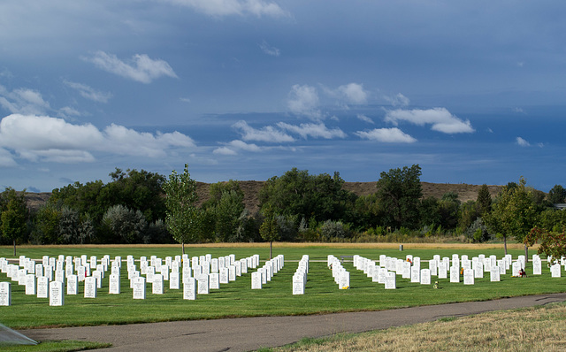 Miles City, MT veterans cemetery  (0502)
