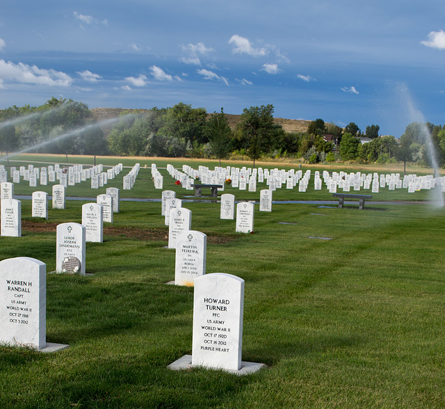Miles City, MT veterans cemetery  (0501)