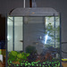 aquarium DSC 0170