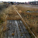 Old track in Vansbro