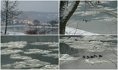 Winterlicher Spaziergang an der Elbe
