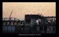 Starlings flocking around Hastings Pier - 26.11.2013