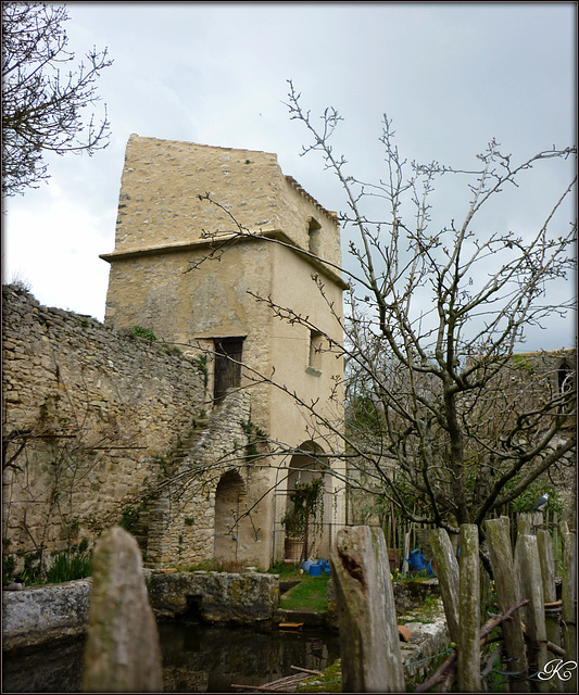 L'abbaye cistercienne de Sainte-Marie de Villelongue.