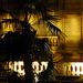 La nuit du palmier
