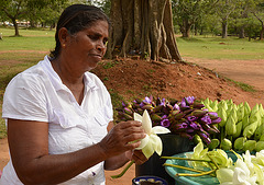Seller of lotus flowers