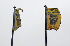 Husum zeigt Flagge