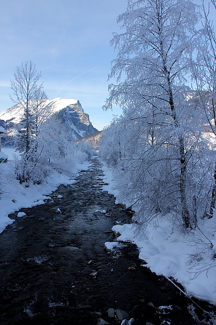 Schneewanderung im Bregenzer Wald