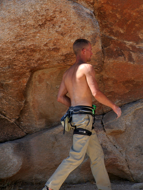 Rock Climber (3587)