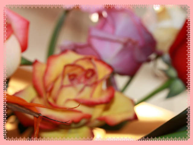 IMG 9362 roses