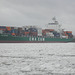 Containerschiff  CMA CGM   ROSE