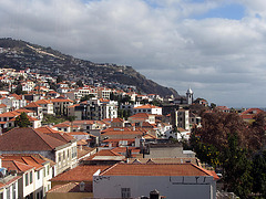 IMG 3340 Funchal