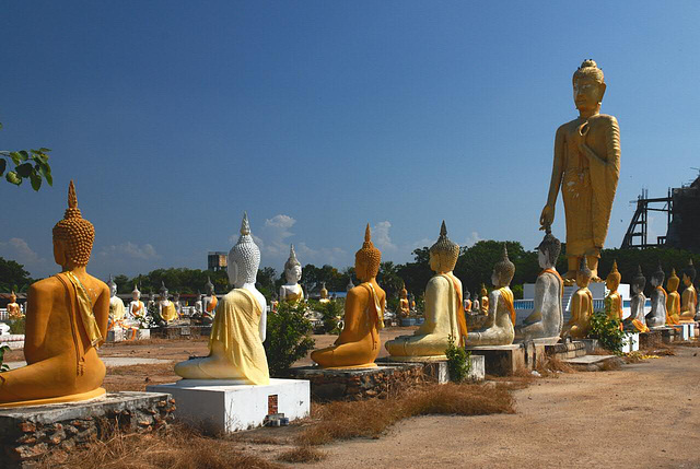 A park with hundreds Buddhas