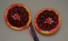 Oranger sanguinelli DSC 0346