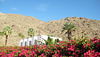 Palm Springs 18