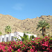 Palm Springs 18