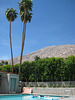 Palm Springs 38