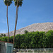 Palm Springs 38