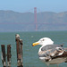 San Francisco,et le Golden Gate