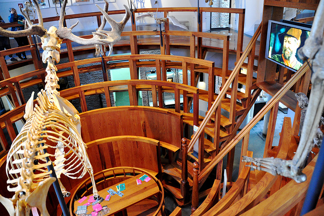 Museum Boerhaave – Replica of the Anatomical theatre of Leiden University
