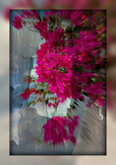 Blüteneffekt