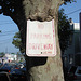 No parking driveway tree / Arbre et stationnement - 21 juillet 2008.
