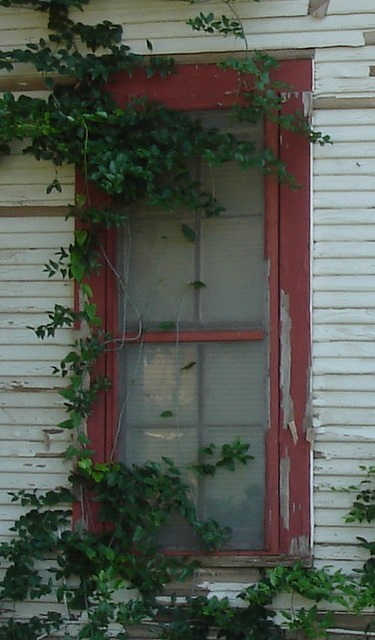 Maison texane / Texmade house - Jewett, USA / États-Unis - 6 juillet 2010 - Recadrage