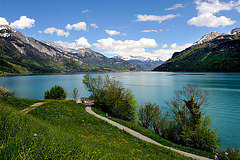 Le lac de Brienz (Oberland bernois)